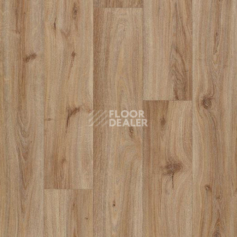 Линолеум Forbo Eternal Wood 10832 hazelnut oak фото 1 | FLOORDEALER